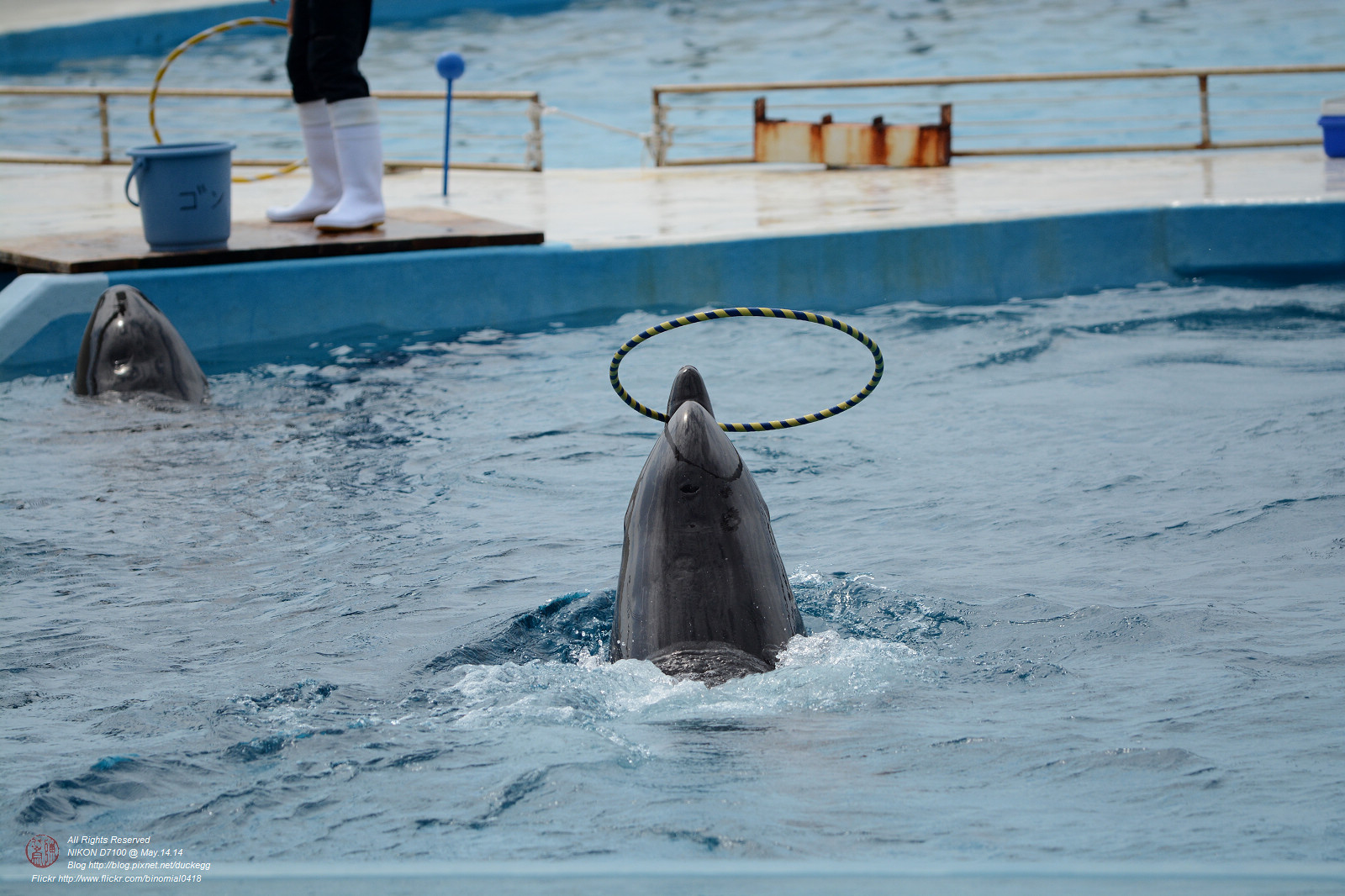 DSC_3050.jpg